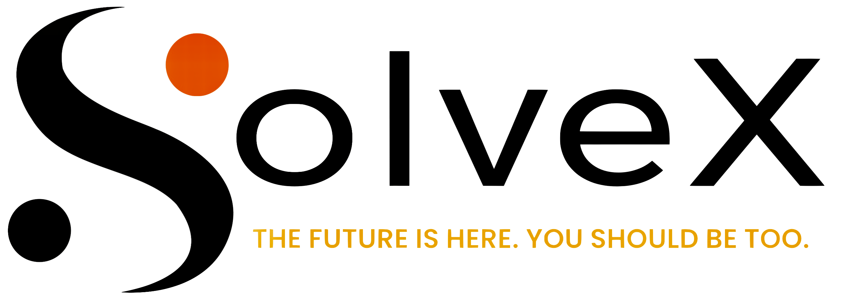 SolveX